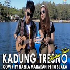Nabila Maharani - Kadung Tresno Ft. Tri Suaka (Cover).mp3