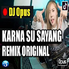 DJ Opus - Karna Su Sayang Remix.mp3