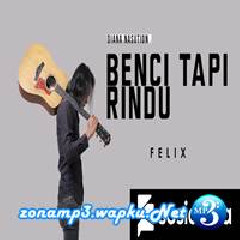 Download Lagu Felix Irwan - Benci Tapi Rindu - Diana Nasution (Cover) Terbaru