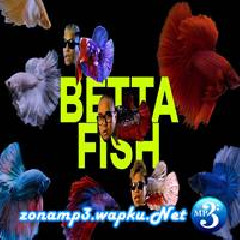 Alldone Klaar - Betta Fish Feat Saykoji & Ngapz.mp3