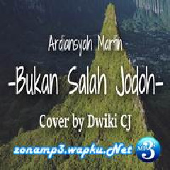 Dwiki CJ - Bukan Salah Jodoh - Ardiansyah Martin (Cover).mp3