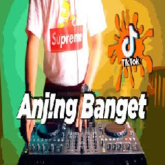 DJ Desa - Sa Pamit Mo Pulang X Anj!ng Banget X Pipipi Calon Mantu X Pap Pep ! Mama Mo Marah.mp3