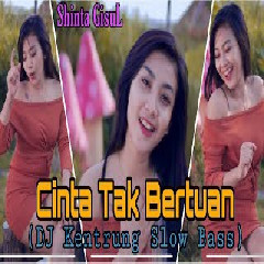 Download Lagu Shinta Gisul - Cinta Tak Bertuan Terbaru