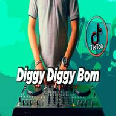 DJ Desa - Ciki Bam Tiktok Bom Diggy Diggy.mp3