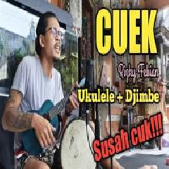 Download Lagu Made Rasta - Cuek - Rizky Febian (Reggae Cover) Terbaru