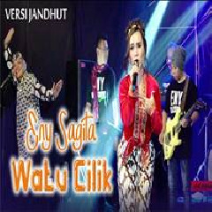 Download Lagu Eny Sagita - Watu Cilik (Versi Jandhut) Terbaru
