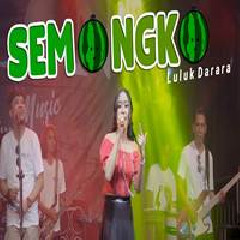 Luluk Darara - Semongko (Remix Koplo).mp3
