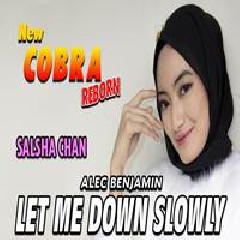 Salsha Chan - Let Me Down Slowly (New Cobra).mp3
