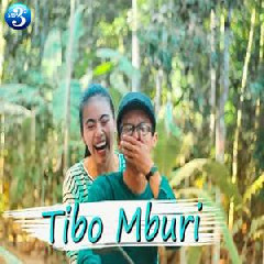 Download Lagu Ndarboy Genk - Tibo Mburi Terbaru