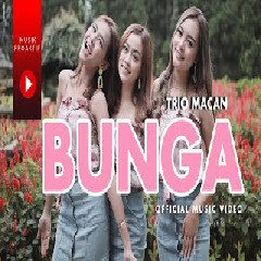 Download Lagu Trio Macan - Bunga Terbaru