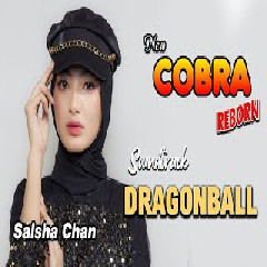 Salsha Chan - Dragon Ball (New Cobra).mp3