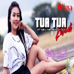 Download Lagu Shinta Gisul - Tua Tua Keladi (Dj Remix) Terbaru
