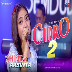 Shinta Arsinta - Cidro 2 Ft Sembodo Putro.mp3