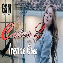 Irene Ghea - Cidro 2 (Dj Koplo).mp3