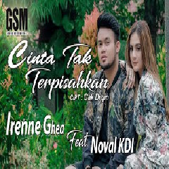 Irenne Ghea - Cinta Tak Terpisahkan ft. Noval KDI (Dj Koplo).mp3