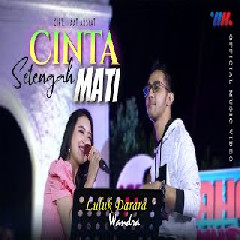 Download Lagu Luluk Darara - Cinta Setengah Hati feat Wandra Terbaru
