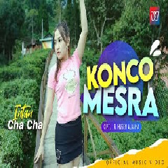 Download Lagu Intan Chacha - Konco Mesra Terbaru