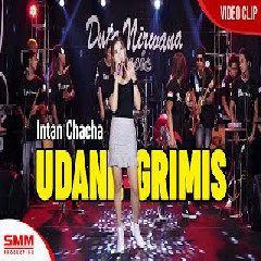 Download Lagu Intan Chacha - Udane Gerimis Terbaru