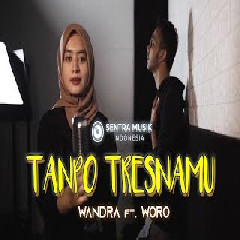 Download Lagu Woro Widowati - Tanpo Tresnamu feat Wandra Terbaru