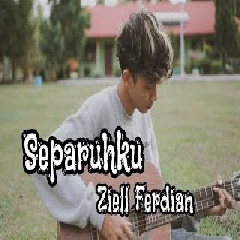 Download Lagu Ziell Ferdian - Separuhku - Nano (Cover) Terbaru