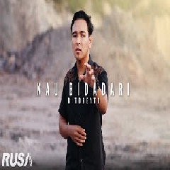 Download Lagu Bitobeyto - Kau Bidadari (Cover) Terbaru