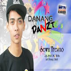 Download Lagu Danang Danzt - Sewu Tresno Terbaru