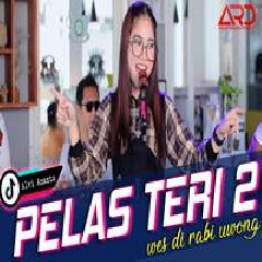 Download Lagu Alvi Ananta - Pelas Teri 2 Terbaru