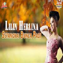 Download Lagu Lilin Herlina - Setangkai Bunga Padi Terbaru