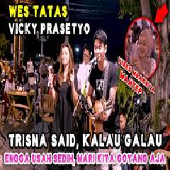 Nabila Maharani - Wes Tatas Vicky Prasetyo Feat Tri Suaka.mp3