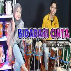 Download Lagu Dewi Ayunda - Bidadari Cinta Ft Fariz Terbaru