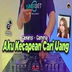 Download Lagu Dj Didit - Dj Sayang Gamma1 Aku Kecapean Cari Uang Terbaru