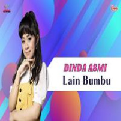 Dinda Asmi - Lain Bumbu.mp3