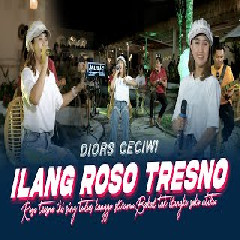 Download Lagu Diors Ceciwi - Ilang Roso Tresno Terbaru