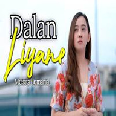 Download Lagu Meisita Lomania - Dalan Liyane Terbaru
