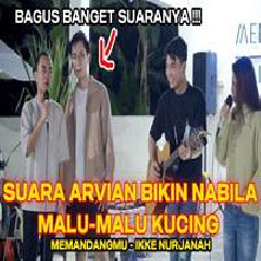 Download Lagu Zidan - Memandangmu Feat Arvian Dwi, Tri Suaka, Nabila Maharani Terbaru