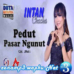 Download Lagu Intan Chacha - Pedut Pasar Ngunut Terbaru