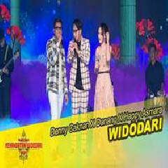Download Lagu Denny Caknan - Widodari Feat Danang, Happy Asmara Terbaru