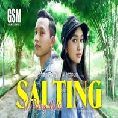 Download Lagu Jihan Audy - Dj Salting Ko Paling Manis Ft Mamnun Terbaru