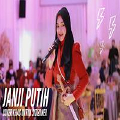 Dato Sri Siti Nurhaliza - Janji Putih.mp3