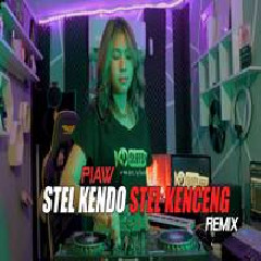 Piaw - Stel Kendo Stel Kenceng Remix.mp3