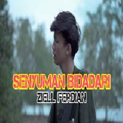 Download Lagu Ziell Ferdian - Senyuman Bidadari Terbaru