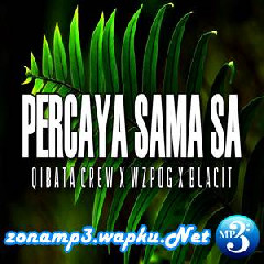 Download Lagu Qibata Crew - Percaya Sama Sa (feat. WZPOG & Blacit) Terbaru