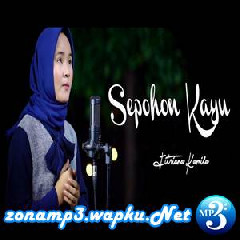 Download Lagu Fitriana Kamila - Sepohon Kayu Terbaru