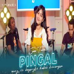 Sasa Tasia - Pingal Ft Vip Music.mp3
