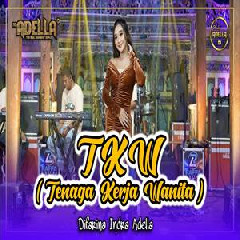 Download Lagu Difarina Indra - TKW Tenaga Kerja Wanita Ft Om Adella Terbaru