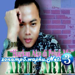 Arie Arka - Biarkan Aku Di Pelukmu.mp3