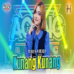 Download Lagu Tiara Amora - Kunang Kunang Ft Ageng Music Terbaru