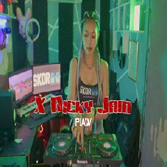 Piaw - X Nicky Jam (Remix).mp3