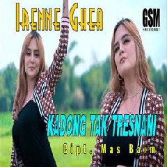 Download Lagu Irenne Ghea - Dj Kadong Tak Tresnani Terbaru