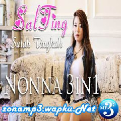 Download Lagu Nonna 3in1 - SaLTing Terbaru